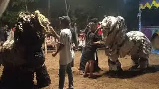 Macan Nakal Macan Madura