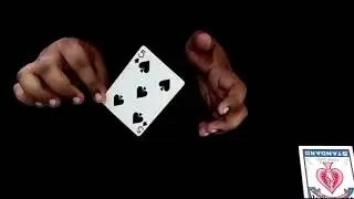 A Card's Revenge by Viper Magic