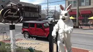 Something Bunny Promo #1 2021