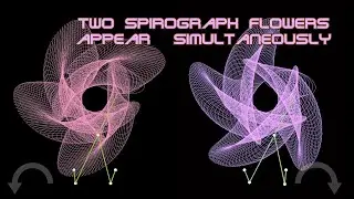 Spirograph is drawing simultaneously two beautiful flowers. Which one is prettier?