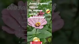 Знаки Зодиака, которые не терпят никаких обязательств. Они не любят требования и условия.