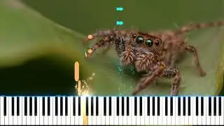 Crawling Spider Easy Piano