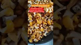 #грибы #грибник #грибники #грибы2024 #лисички #вкусно #готовимдома #готовимвместе #готовимвкусно
