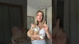 POV: Your cat is being criticized