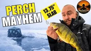 Perch Mayhem on Lake Simcoe! 50+ Fish and a 13.75