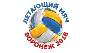 24.04.18 Волейбол. Девушки 04-05. Финальный этап 