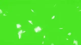 Overlay Green Screen Video | Butterfly Flying 4K Overlay Green Screen background video |