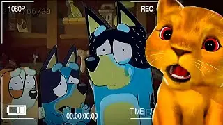ENCONTREI CÂMERA ESCONDIDA DENTRO DA CASA DA BLUEY AS 3 HORAS DA MADRUGADA