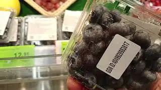 Золотая цена на клюкву и голубику Беларусь 7:11:2023г.