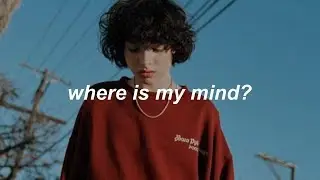 Calpurnia - where is my mind? // español;