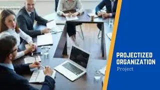 Projectized Organization