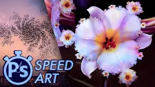 FRACTALS | Photoshop Speed Art