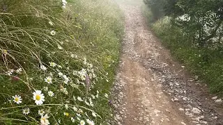 Україна святкує💙💛