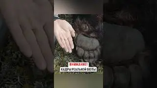 Добыча МЕДВЕДЯ на дальней дистанции 