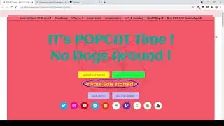POPCAT TOKEN -  no Future. Not Investable. DYOR
