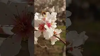 15 февраля 2024 г.