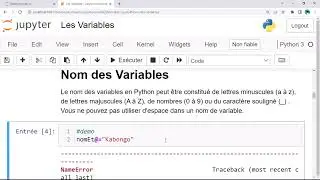 Les Bases du langage Python ( Variables, Opérateurs, Lecture et Écriture )