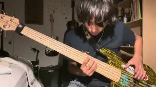 Pharmaecopia best part imo (bass strumming)
