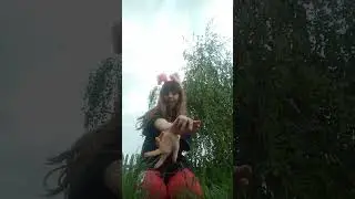 26 мая 2023 г.