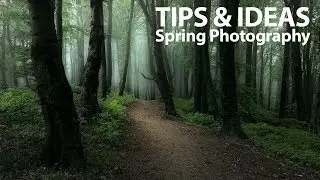 13 Ideas & Tips for Spring Landscape Photography