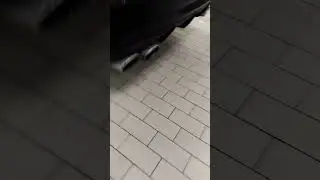 Зверь рвётся на волю