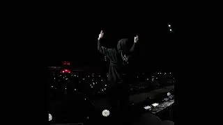 Alan Walker Live at Storm Festival