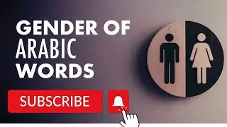 Quranic Grammar: Learn About Male and Female Gender in Nouns