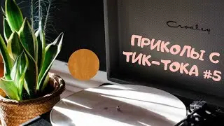 Нарезка приколов с Тик-Тока #5