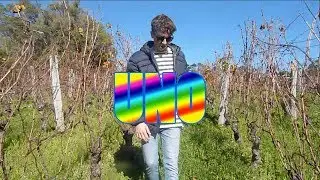 Wev-Ware - UNO (Official Music Video)