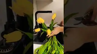 5 этапов ухода за тюльпанами❗сохраняйте чтобы не потерять😊