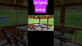 Усадьба Лазурный берег на Браславских озёрах #топ #рек #семья #лето #осень #отдых #дом #озеро #лес