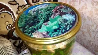 Аквариум своими руками