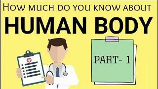 Human Body Quiz | Part 1 |