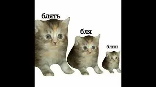 обязательно посмотреть (по желанию)