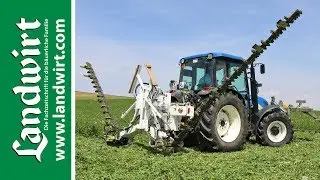 Doppelmesser Schmetterling selbst gebaut | landwirt.com