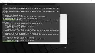 0014 Check internal LAN IP and internet connection for Linux virtual machine