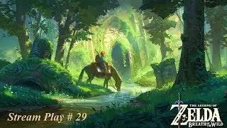 The Legend Of Zelda: Breath Of the wild W/ Xero (Stream Play) #29