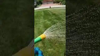 Bulletproof Fungicide Treatment for Lawns #lawncare #lawnlife