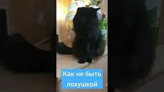 Курсы