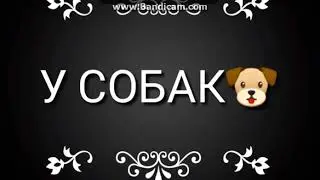 ПОДБОРКА  РА -ТУ-ТУ-ТУ
