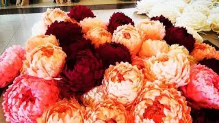 How to Make a Large Peony from Corrugated Paper 👍 Part 2