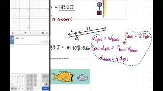 Homework Help: Pulley Lift and Fish Collision Problems