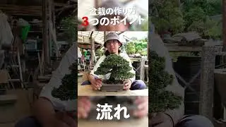 盆栽の作り方３つのポイント【盆栽Q】
