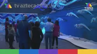 Universum, Museo de las Ciencias UNAM, reabre con nuevas exposiciones