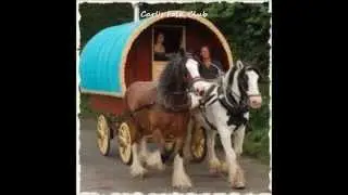 Kalyi Jag ~ Tuke Bahh  (Hungarian Gypsy Folk Song)   (HQ)