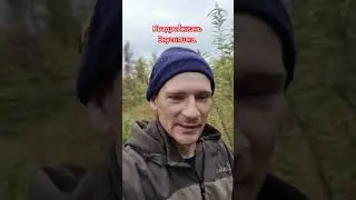 #Квадро