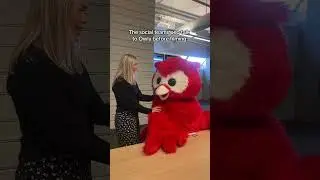 can't be mad at owly though