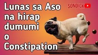Natural at Ligtas na lunas para sa Aso na hirap dumumi o Constipation