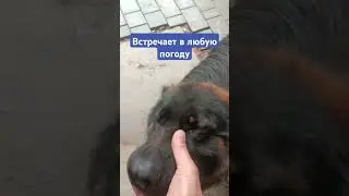 #тимасветлогорских