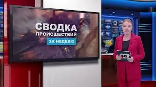 Сводка происшествий / 19.08.2024